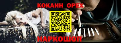 сатива Моздок