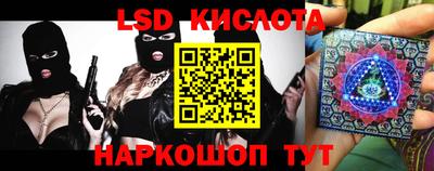 сатива Моздок