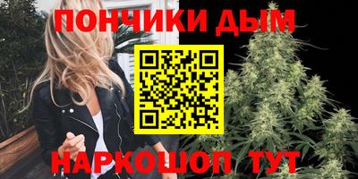сатива Моздок