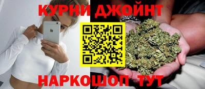сатива Моздок