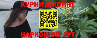 сатива Моздок