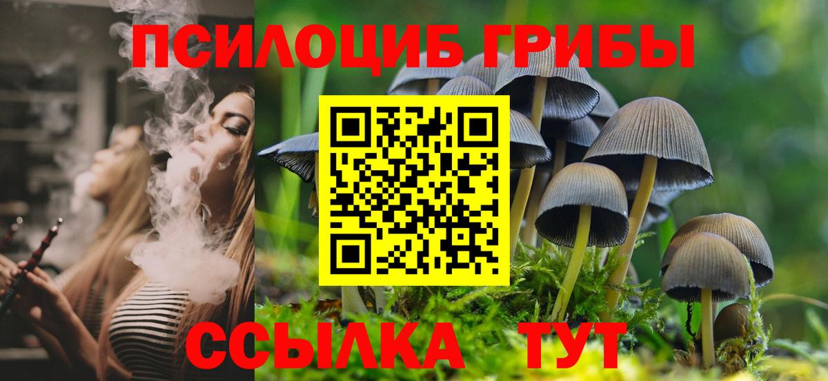 Среднеуральск  Псилоцибиновые грибы Psilocybe  Вход с VPN 
